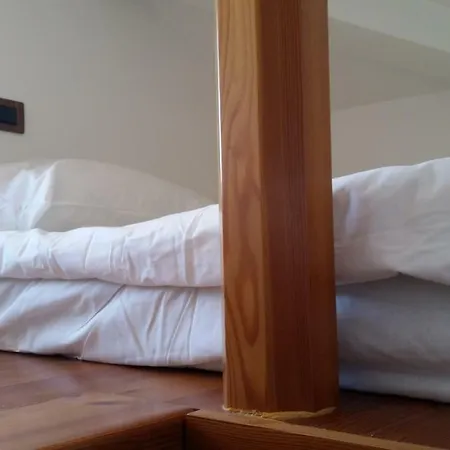 Cozy Buket In The Center